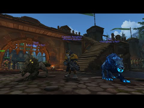 N'Zoth, the Corruptor - Mythic Ny'alotha - BM Hunter PoV [Primori Morte]