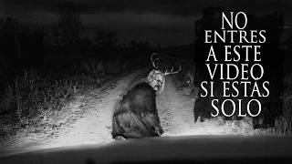 LA BRUJA DE LOS CAMINOS DE TEXCOCO Y OTRAS HISTORIAS DE BRUJERÍA