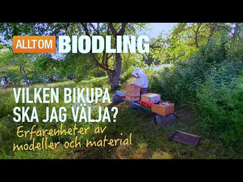 Vilken bikupa ska jag välja? Modeller och material | Biodling Biodlare
