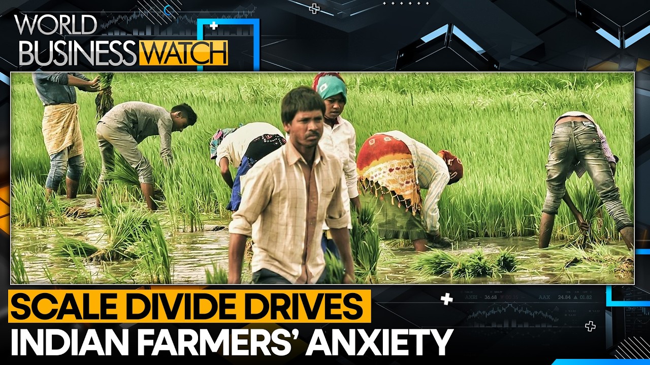 Soybean Oil Imports May Pressure Domestic Growers | World Business Watch | WION News