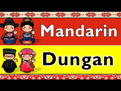 SINO TIBETAN MANDARIN BURMESE