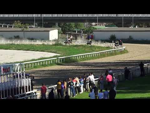 16.10.2022 - Trka III "MEMORIJAL ANTONIJA KARNERA" - Hipodrom Beograd