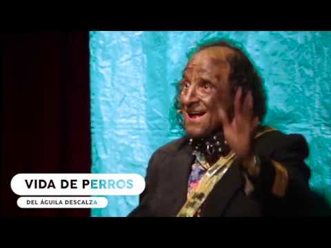 I Will Be President - A Dog's Life