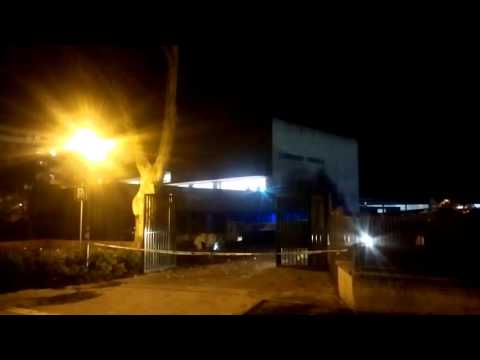 2 Nido avispas noche Landako Eskola