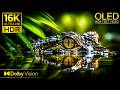 MAX OLED POWER Dolby Vision 16K HDR 120fps 8K 4K Video TV