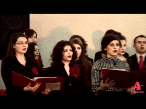 AMiCUS Timișoara - Creștini din toată zarea