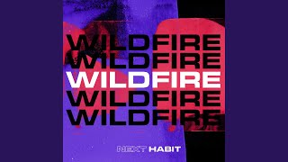 Next Habit - Wildfire video