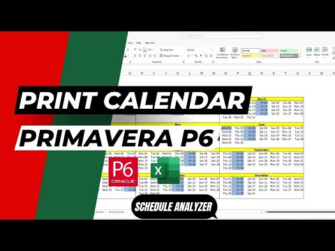 Convert Primavera P6 Schedule to Excel Timeline Project Plan in Excel with Gantt Chart from P6