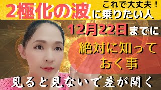 【今すぐ再生して！】冬至までに絶対やるべき事!!12月22日以降、大きく変わりたい人は今すぐやって！並木良和さんの冬至手放しワーク付き⚠️見れた人おめでとう🎊