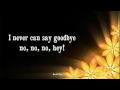 NEVER CAN SAY GOODBYE - (Lyrics)
