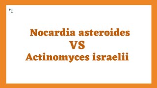 Nocardia asteroides vs actinomyces israelii