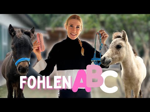 The FOALS learn the FOAL ABC❤️ WHAT is especially important to us & how do we train them!