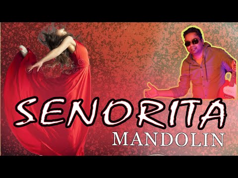 Señorita | Instrumental | Mandolin | cover