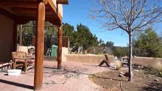 Gettin "Yellow Snot Funk"y