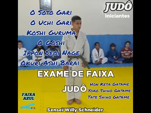 Judo belt examination for BLUE belt