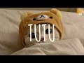 Tutu (cute remix) - Alma Zarza x DJ Mamad - Dangling x Dusk Music (Video Lyrics)