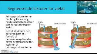 Energistrømme og fødekæder i økosystemer