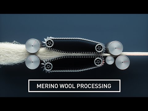 What Makes Merino Wool so Special?