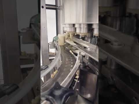 ZACMI 0271 P210225095