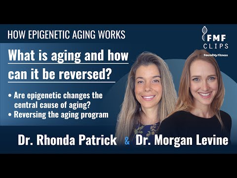 How epigenetic aging works and how it might be reversed | Dr. Morgan Levine