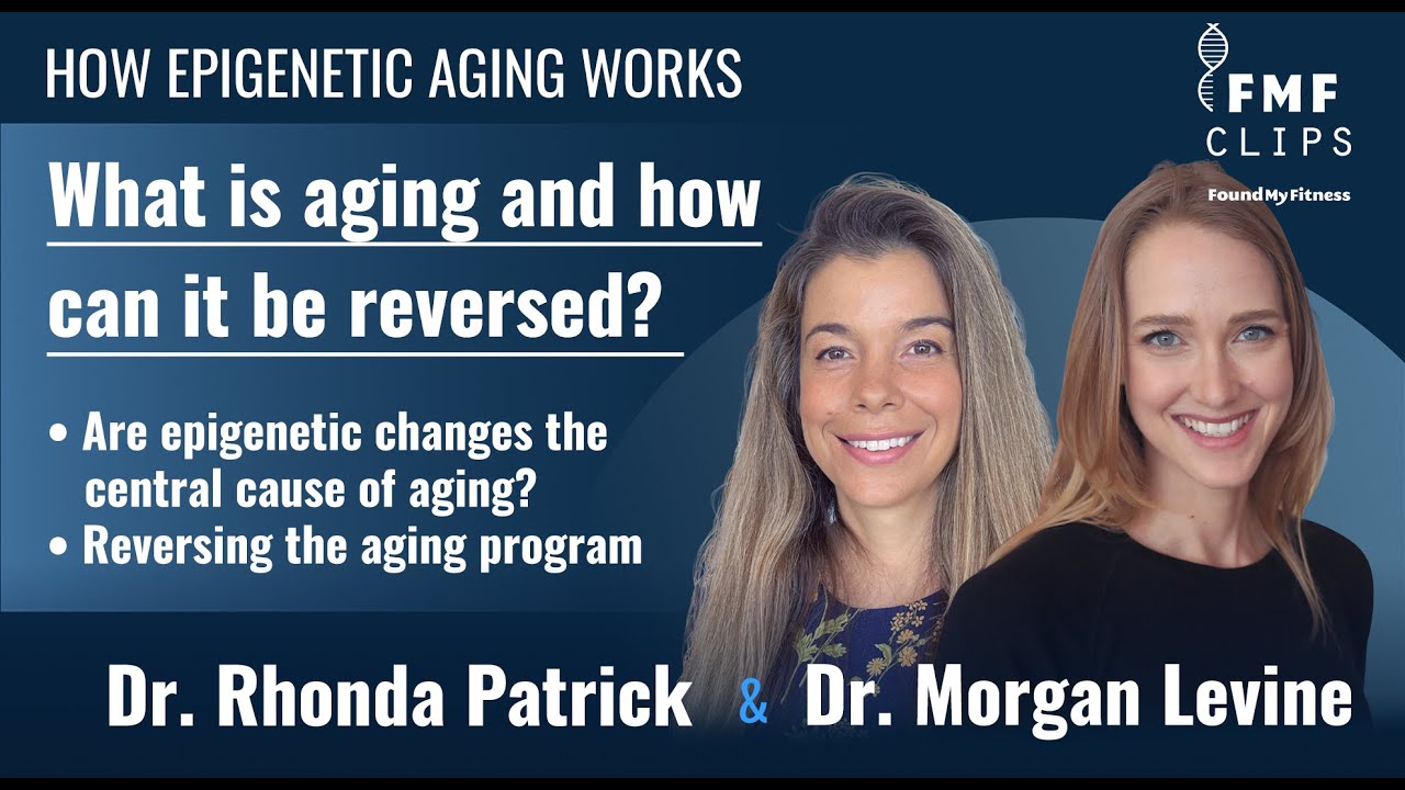 How epigenetic aging works and how it might be reversed | Dr. Morgan Levine