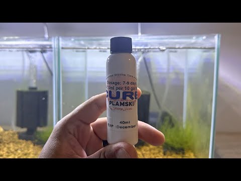Using PLAMSKI CURE: Will it keep my shrimp from dying?