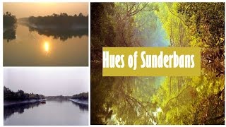 Sunrise at Sunderbans, West Bengal
