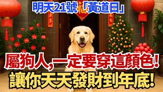 生肖狗注意！明天10月21號，農曆九月初一為「黃道日」，你穿這顏色衣服最招財！讓你天天發財到年底！#生肖狗 #屬狗 #財運 #偏財運 #招財 #開運 #改運 #五行 #風水 #生肖 #運勢 #黃道吉日