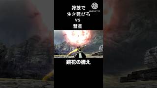 狩技で生きのびろ…彗星編 #モンハン #mhxx #バルファルク