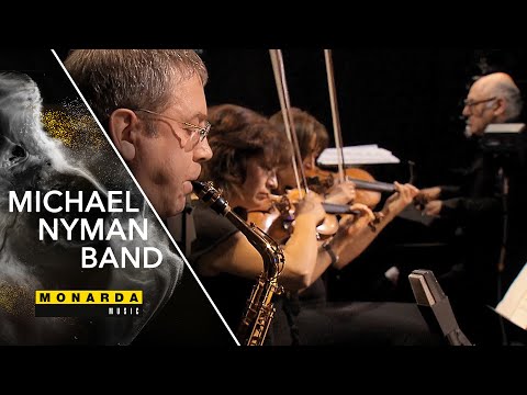 The End of the Affair: "Diary of Hate" (Michael Nyman Band) | Live in Halle (7/16)