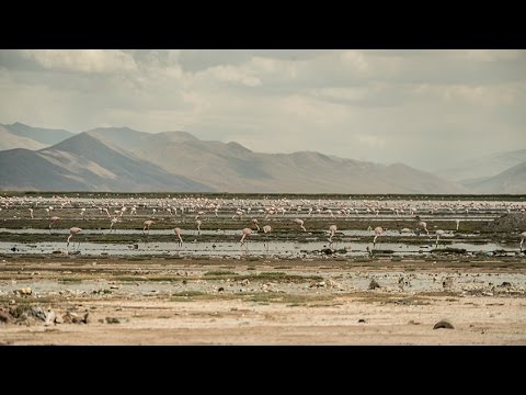 Poopó: ¿Volverá el lago?