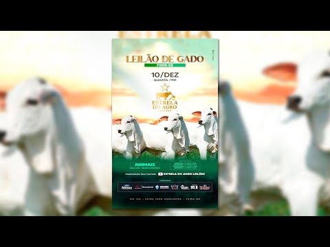 LEILÃO GADO DE CORTE ESTRELA DO AGRO LEILÕES  FAINA-GO 10/12/2025 | Leilão ao Vivo - Leilão de Gado