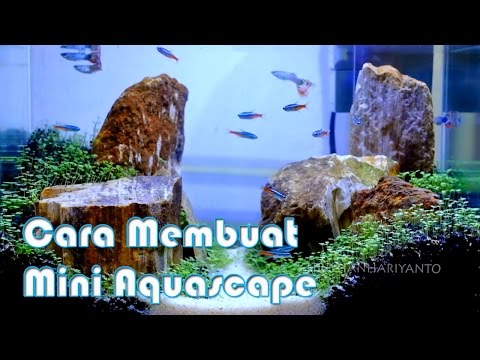 Cara Membuat Mini Aquascape 2017 | Indonesia