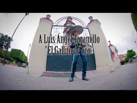 Mi Fátima | Luis Ángel Gómez Jaramillo