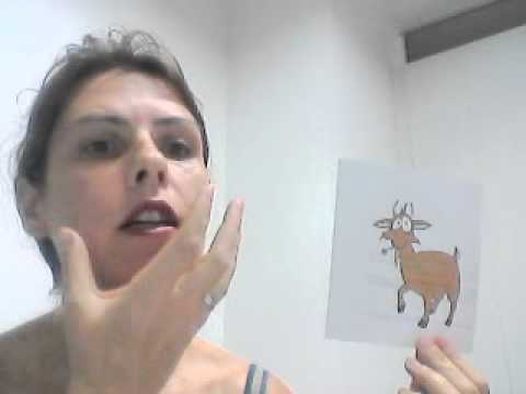 2012 06 11, Alle meine Fingerlein wollen heute Tiere sein