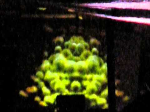 EACH ON THE BEACH Vol.2 - Tribal Engineers - Tmh (Tranzit) vs. Cyberoos (Swamp)