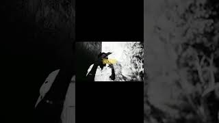 Download lagu Nation Boss Learning Process #viral #youtubeshorts #tiktok #dancehall #jamaican mp3 Download lagu Nation Boss Learning Process #viral #youtubeshorts #tiktok #dancehall #jamaican mp3