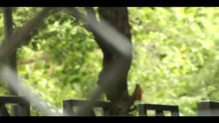 Lachi - "Slow Down" Music Video