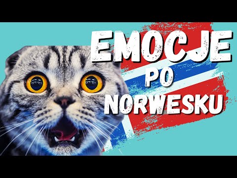 Norwegian language learning - EMOTIONS in Norwegian - 1000 words part 4