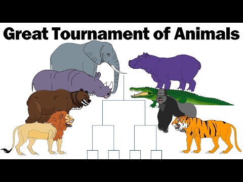 TOURNAMENT OF THE STRONGEST ANIMALS - ANIMATION