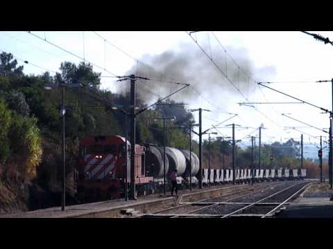 Comboio n.º 77530 - Praia do Ribatejo