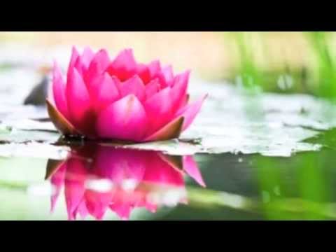 Come To The Water - Beverly Jo Scott