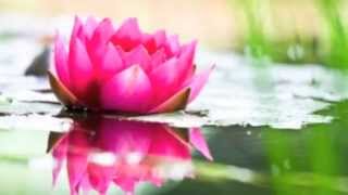 come to the water Beverly Jo Scott