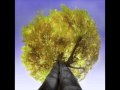David Lowe's Dreamcatcher - Tree ( Blazing sun ...