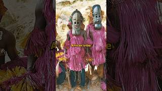 Did the Dogon Tribe contact ancient aliens?