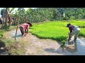 Suasana Alam Pegunungan Dan Para Petani Sibuk Dengan Pekerjaan Nya