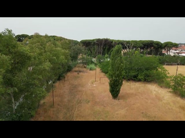 Bufalina campi 5212F