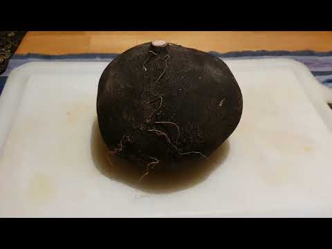 Kochen Mit Gefühl 🌰🧅🥔 Salat... Rettich Salat