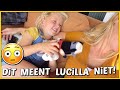 ZEi LUCiLLA DiT NU ECHT TEGEN MiJ? ? | Bellinga Vlog #1832