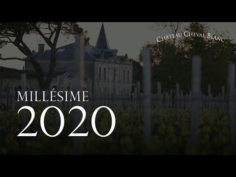Forudbestil Le Petit Cheval Grand Cru Chateau Cheval Blanc Her